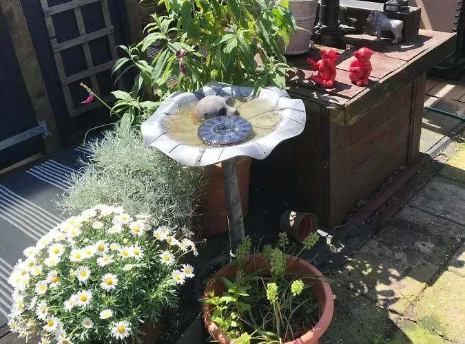 Bed & Breakfast Klokgaaf 4*